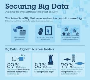 Securing Big Data